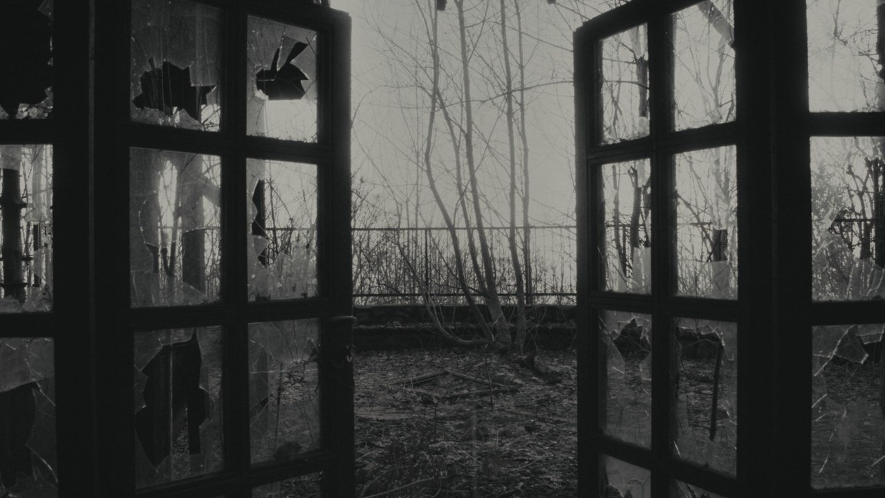 Broken windows opening toward an overgrown forest